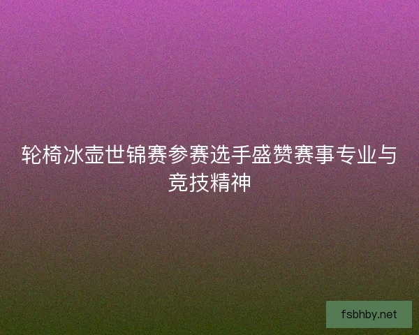 轮椅冰壶世锦赛参赛选手盛赞赛事专业与竞技精神