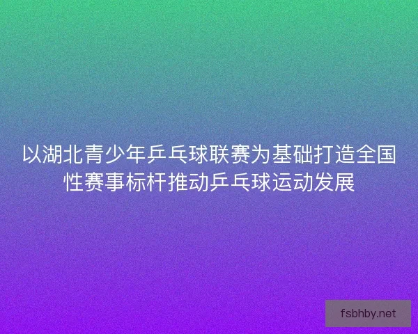 以湖北青少年乒乓球联赛为基础打造全国性赛事标杆推动乒乓球运动发展