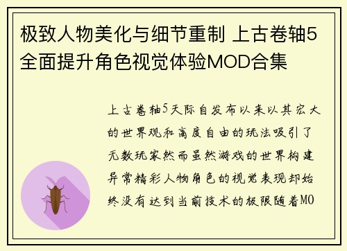 极致人物美化与细节重制 上古卷轴5全面提升角色视觉体验MOD合集